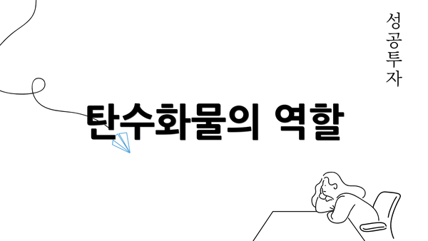 탄수화물의 역할