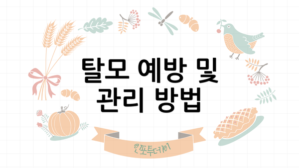 탈모 예방 및 관리 방법