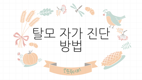 탈모 자가 진단 방법