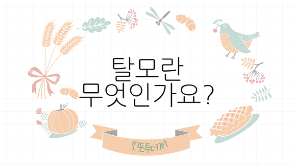 탈모란 무엇인가요?