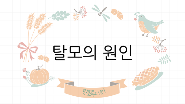 탈모의 원인