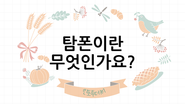 탐폰이란 무엇인가요?