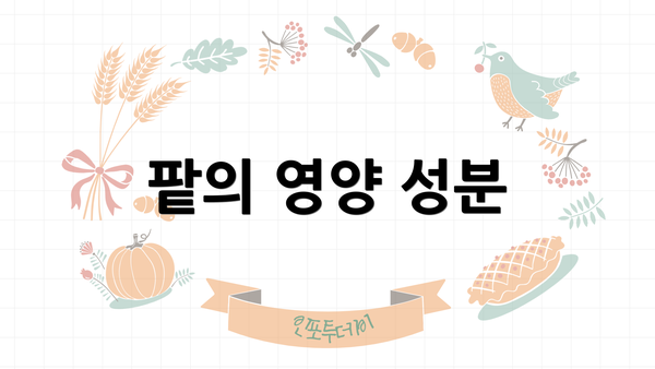 팥의 영양 성분