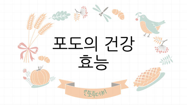 포도의 건강 효능