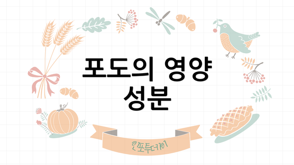 포도의 영양 성분