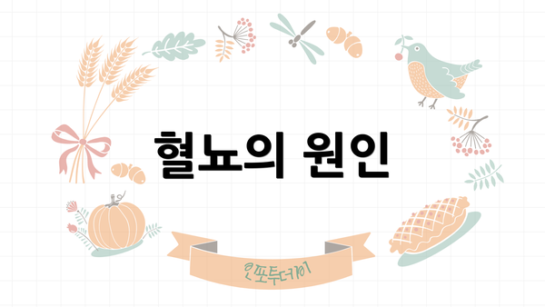 혈뇨의 원인