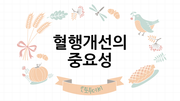 혈행개선의 중요성