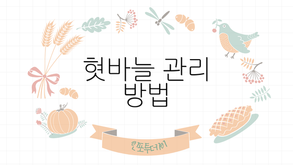 혓바늘 관리 방법