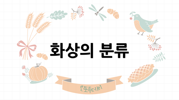 화상의 분류