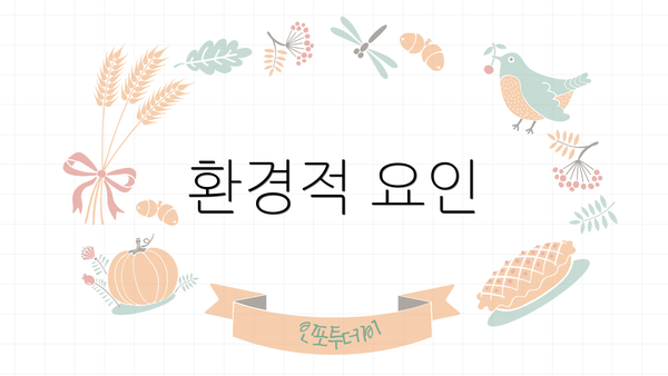 환경적 요인