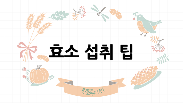 효소 섭취 팁