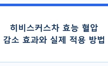 히비스커스차 효능 혈압 감소 효과와 실제 적용 방법