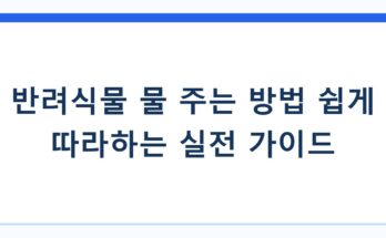 반려식물 물 주는 방법 쉽게 따라하는 실전 가이드