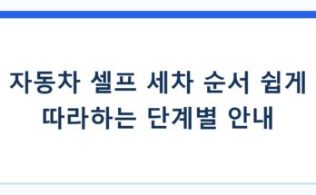 자동차 셀프 세차 순서 쉽게 따라하는 단계별 안내