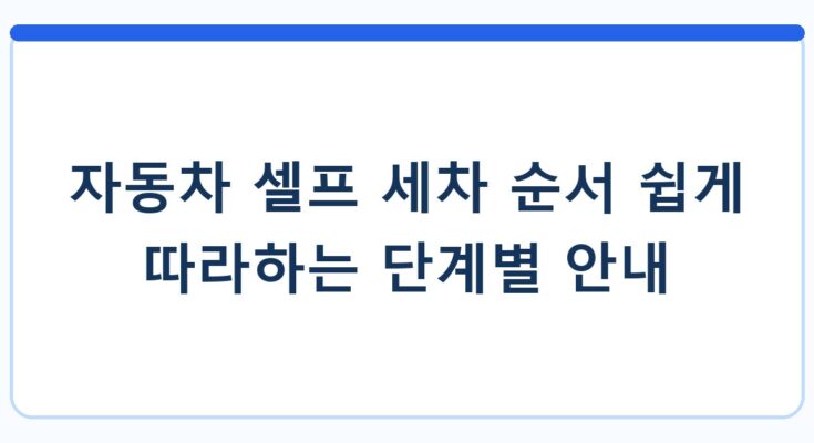 자동차 셀프 세차 순서 쉽게 따라하는 단계별 안내