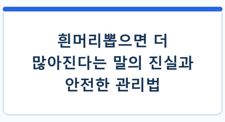 흰머리뽑으면 더 많아진다는 말의 진실과 안전한 관리법