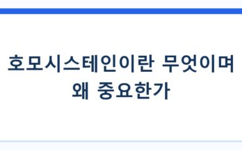 호모시스테인이란 무엇이며 왜 중요한가