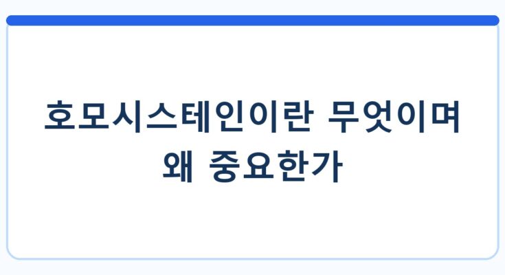 호모시스테인이란 무엇이며 왜 중요한가